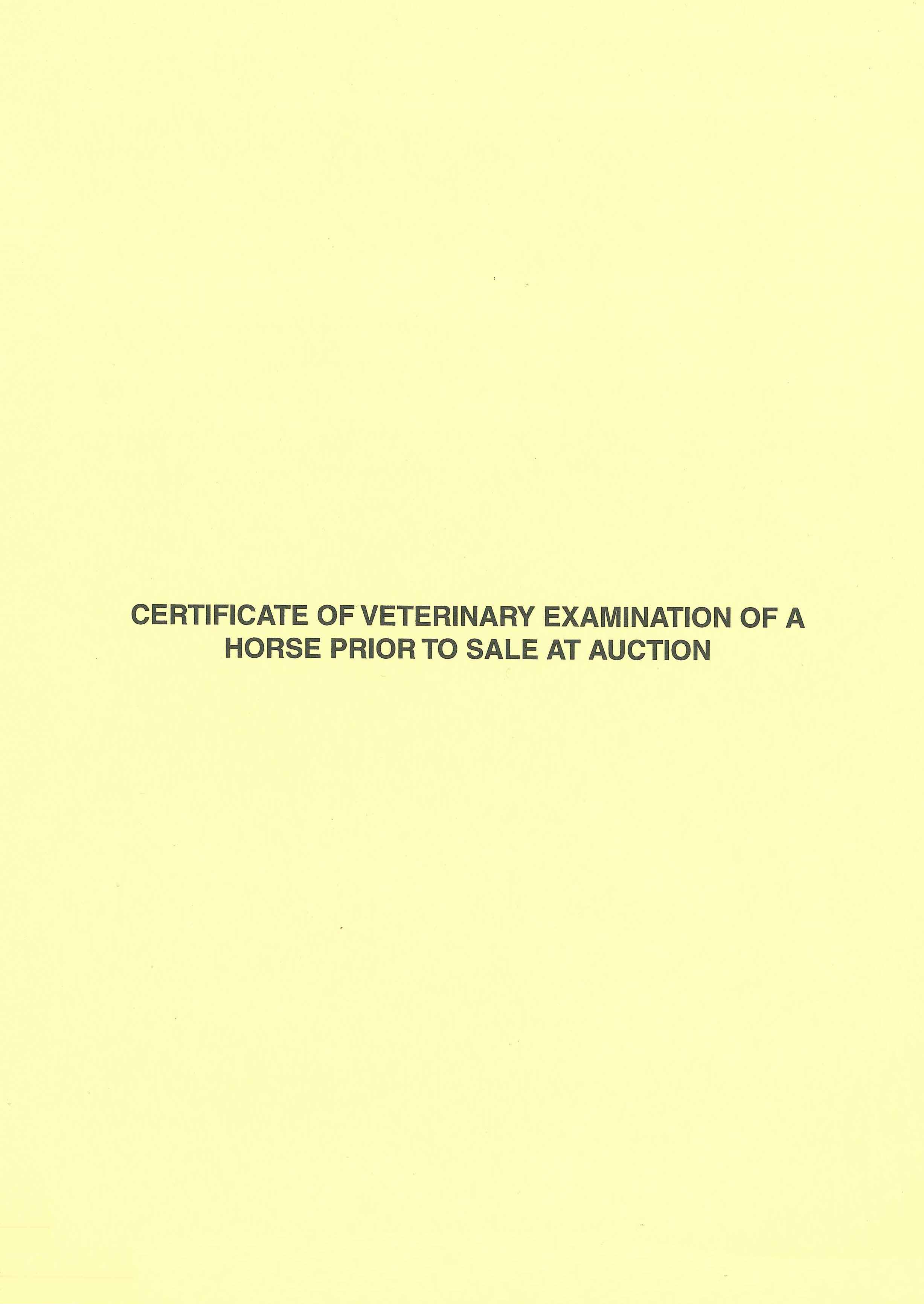 Certificate of Vet Examination of Horse Prior to Sale