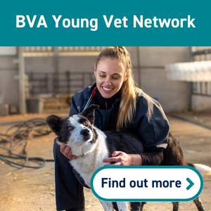 BVA Young Vet Network